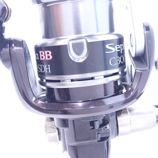 １０セフィアＢＢＣ３０００ＳＤＨ